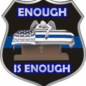 Meet your Posher, Rex